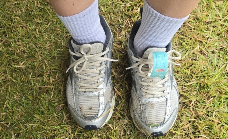 2025 서산 코스모스 황금들녘 마라톤