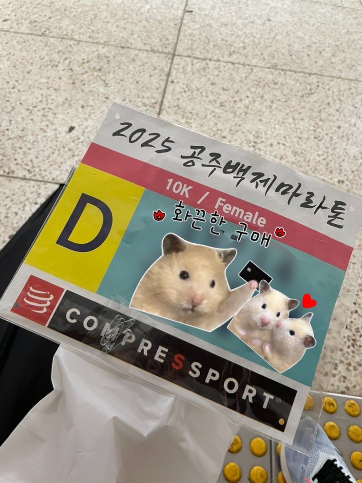 2025 공주백제마라톤 우중런 10km 후기