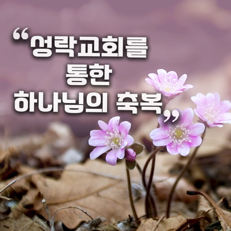️성락교회를 통한 하나님의 축복 : 네이버 블로그