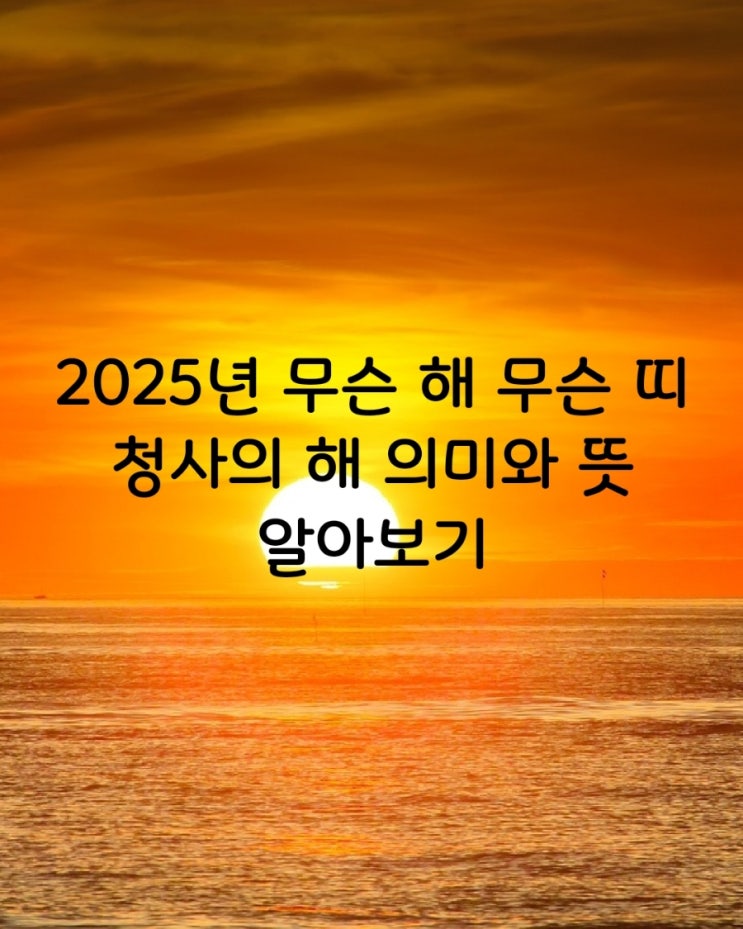 2025년 무슨 해 무슨 띠 청사의 해 의미와 뜻 알아보기 전국 해돋이 일출시간 일몰시간 네이버 블로그