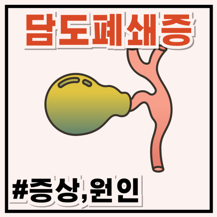 담도폐쇄증 증상과 원인! 신생아 황달부터 소화 장애까지 : 네이버 블로그