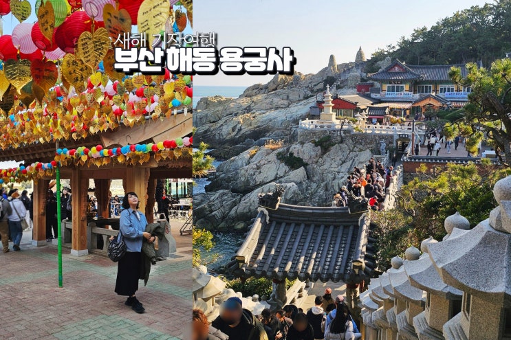 부산 용궁사 근처 관광 기장 유명한 절 해동용궁사 사찰 명소 : 네이버 블로그