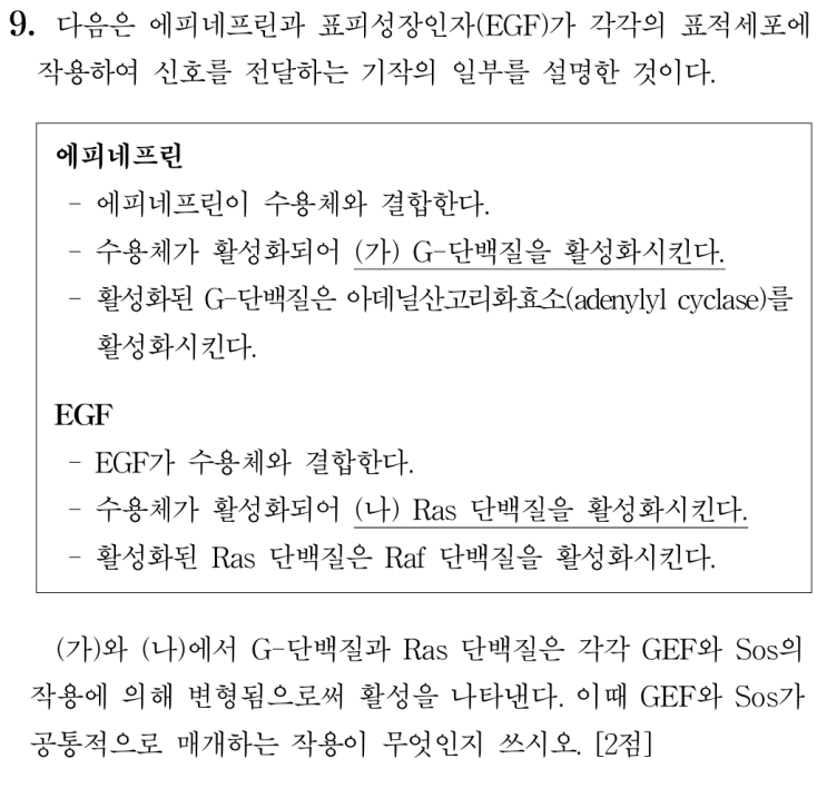 GEF(Guanine nucleotide Exchange Factor) : 네이버 블로그