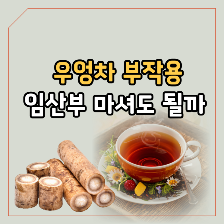 우엉차 다이어트 효능 끓이는법 : 네이버 블로그