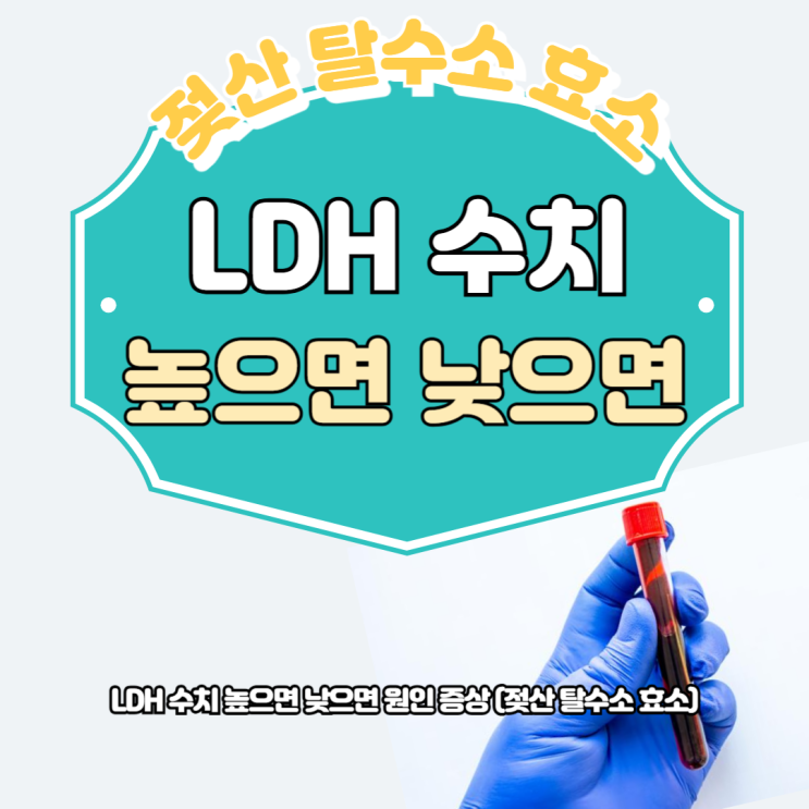 LDH 수치 높으면 낮으면 원인 증상 (젖산 탈수소 효소) : 네이버 블로그