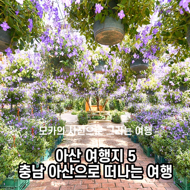 아산 여행지 5, 충남 아산으로 떠나는 여행 : 네이버 블로그