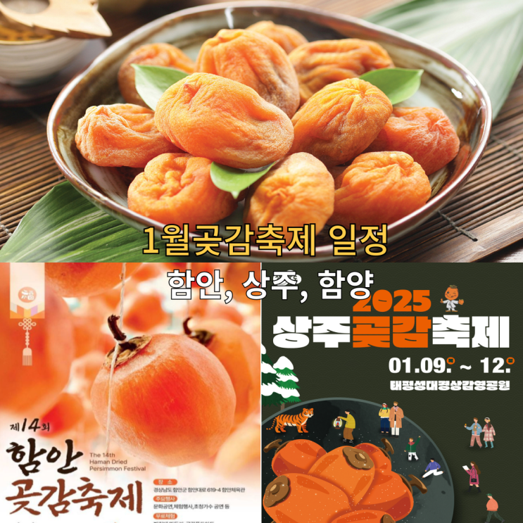 함양곶감축제 함안곶감축제 상주곶감축제일정 가수 출연진 : 네이버 블로그
