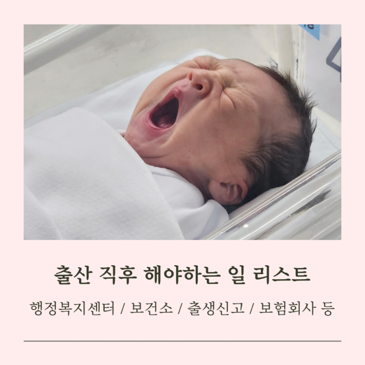 출산 직후 해야하는 일 리스트 목록(출생신고, 피부양자 등록, 어린이집 대기 등) : 네이버 블로그
