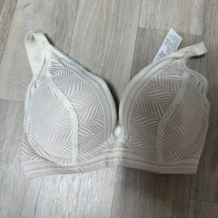 큰컵 브라 르페 65F, 65G 달리아, 마란타 내돈내산 후기 : 네이버 블로그