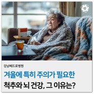 강남구종합병원 겨울에 특히 주의가 필요한 척추와 뇌 건강, 그 이유는?