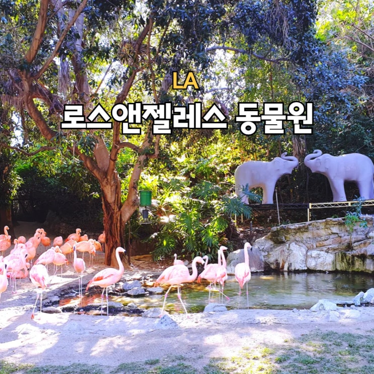 로스앤젤레스 동물원 LA ZOO 아이와 다양한 동물들 보러 가볼만한곳