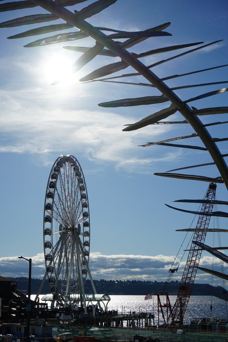 188. 시애틀(202403) : 시애틀 그레이트휠 The Seattle Great Wheel, 스페이스 ....