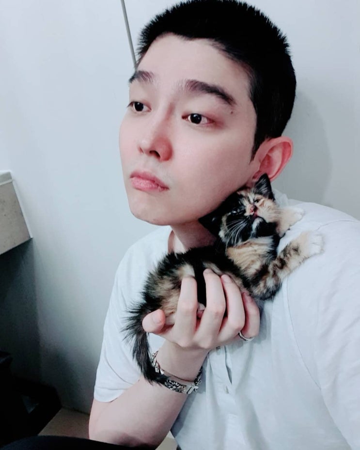 윤균상 근황, "반려묘 솜이 보내고 외로워" 새 반려묘 반이 입양