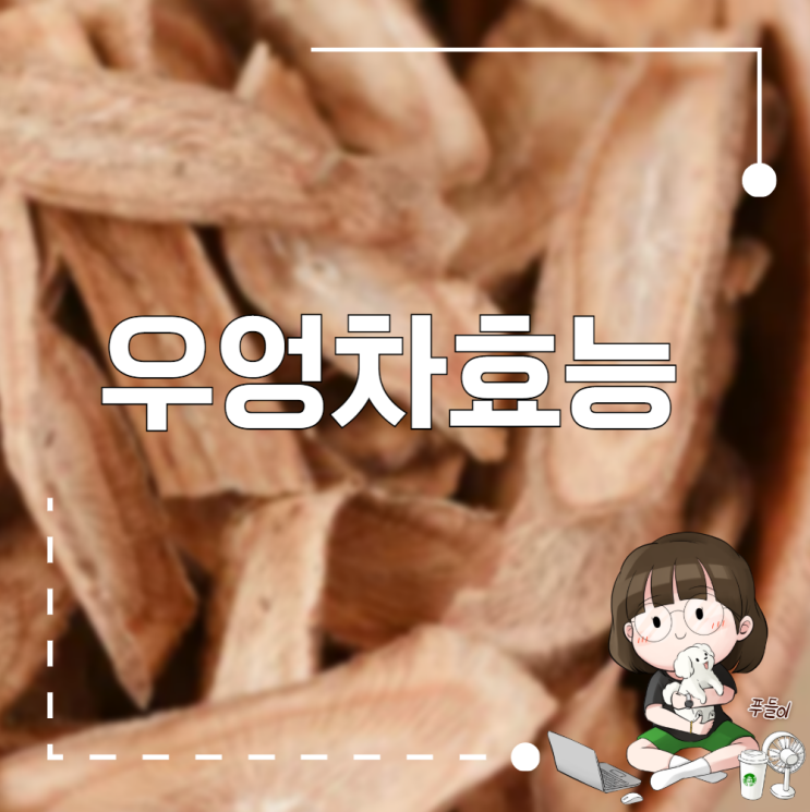 우엉차효능 우엉효능 체크 : 네이버 블로그