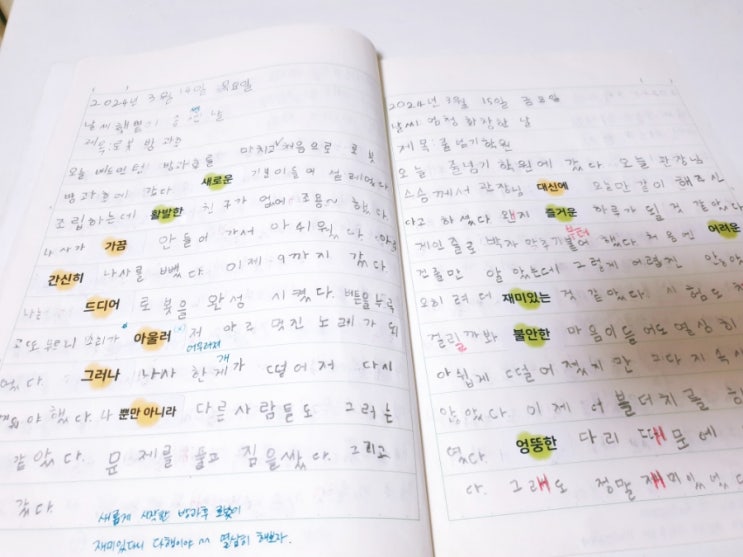 #10. 초등 일기쓰기 지도 - 초등 일기 쓰기의 모든 것! : 네이버 블로그
