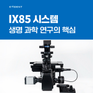 생명 과학 연구의 핵심, IXplore IX85 시스템🔬