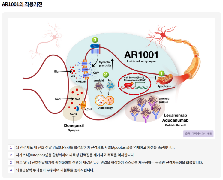 AR1001 작용 기전 관련 뉴스 추천 : 네이버 블로그