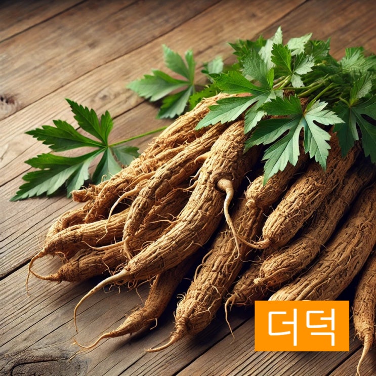 더덕 효능 제철시기 주의사항 : 네이버 블로그