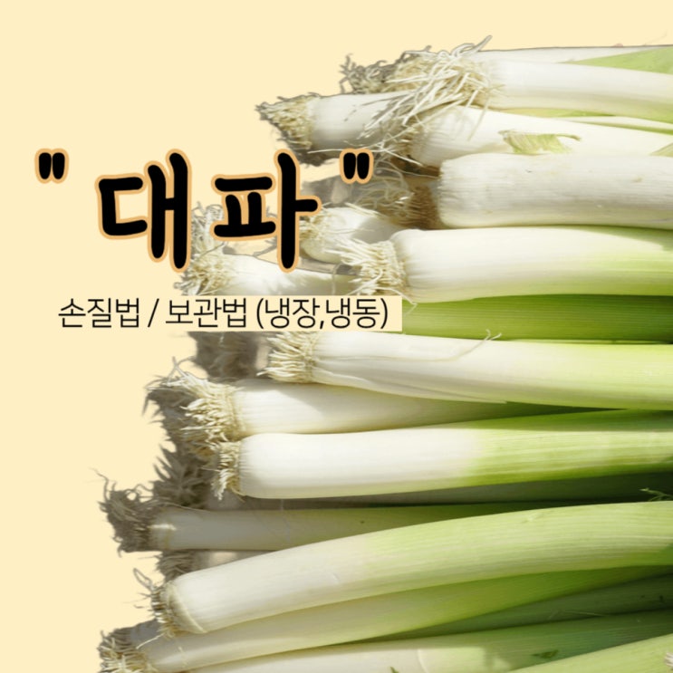 대파 한단 손질 및 오래 보관하는 방법 (냉장/ 냉동) : 네이버 블로그