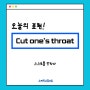 강남역 일대일 영어회화/Cut one's throat/ 스피킹 스튜디오/ 영어 공부/ 비즈니스 영어