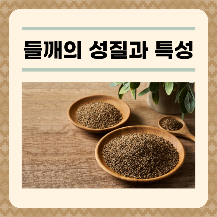 들깨효능 들깨 먹는 법 및 보관법 : 네이버 블로그