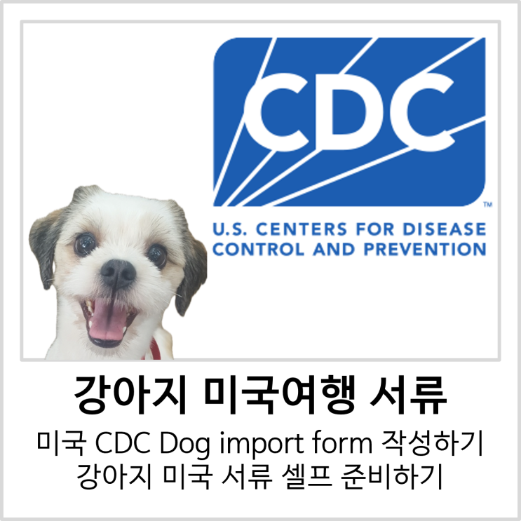 [ 강아지 미국여행 ] 미국 CDC Dog import form 작성 방법, 강아지 수입폼 양식, 미국 입국 서류 셀프로 준비 ...