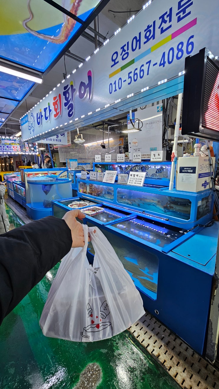 삼척 쏠비치 근처 회포장은 삼척중앙시장 바다회활어 : 네이버 블로그