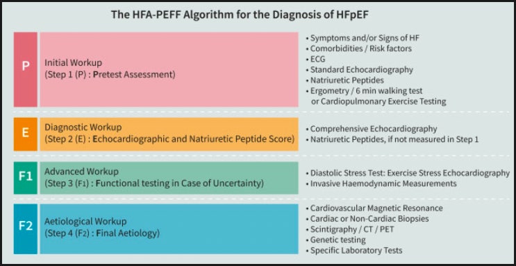 HFpEF 진단하기 ; HFA-PEFF algorithm : 네이버 블로그