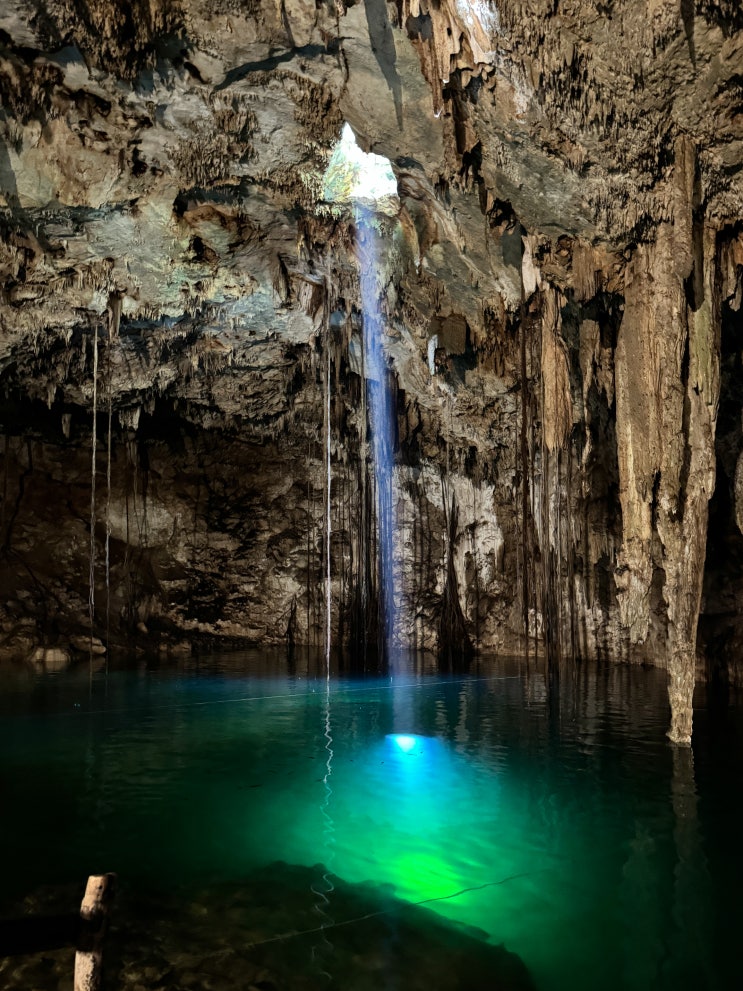 멕시코 칸쿤 근교 렌터카 세노테 CENOTE 추천 셀프 투어 총정리