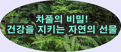 차풀의 놀라운 효능과 차 대용 활용법 총정리 : 네이버 블로그