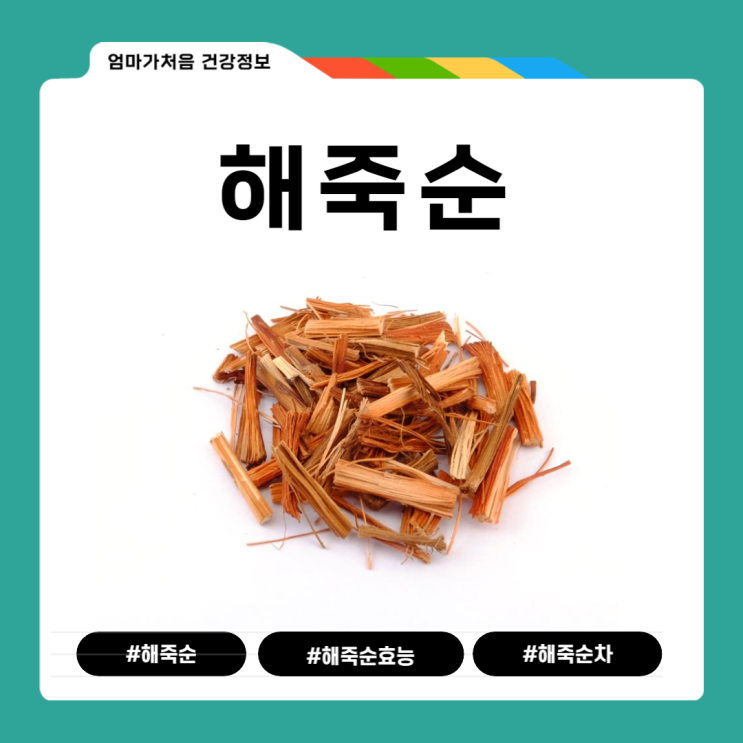 해죽순 효능 해죽순 차 먹는 방법 : 네이버 블로그