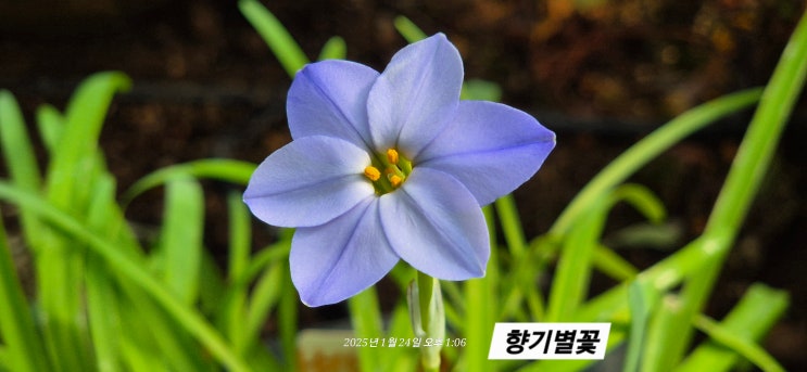 링크 미리보기