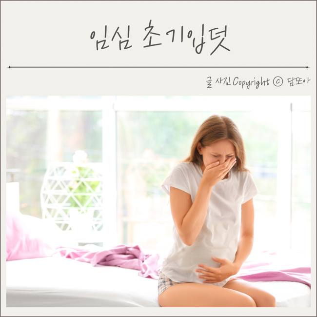 임신초기입덧 원인 입덧시작 끝나는 시기 완화 : 네이버 블로그