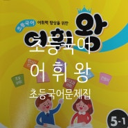 초등어휘문제집 어휘실력이 늘어나는 초등국어 어휘왕 5-1