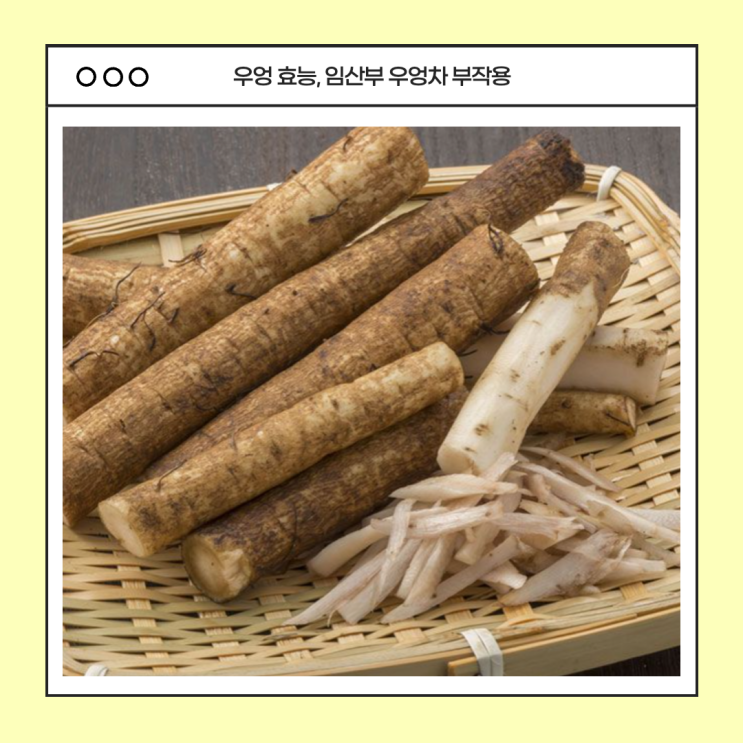 우엉 효능 5가지 임산부 우엉차 효능 부작용 : 네이버 블로그