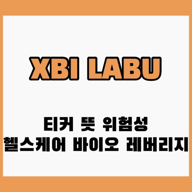 XBI LABU 티커 뜻 풀네임 추종지수 종목 레버리지 ETF 1배 2배 3배 수수료 헬스케어 바이오 생명공학 ETF 라부 ...