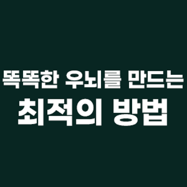 똑똑한 우뇌 만드는 최적의 방법 RSS 대표 이미지