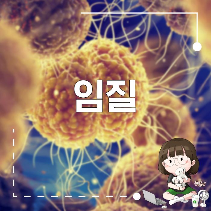 임질 임질균 임균 정보 증상과 원인 : 네이버 블로그