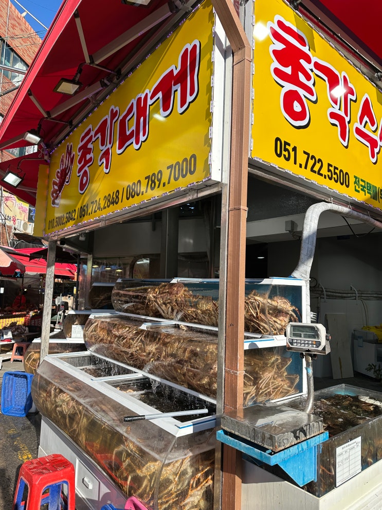 기장 총각대게 킹크랩 포장 후기 : 네이버 블로그