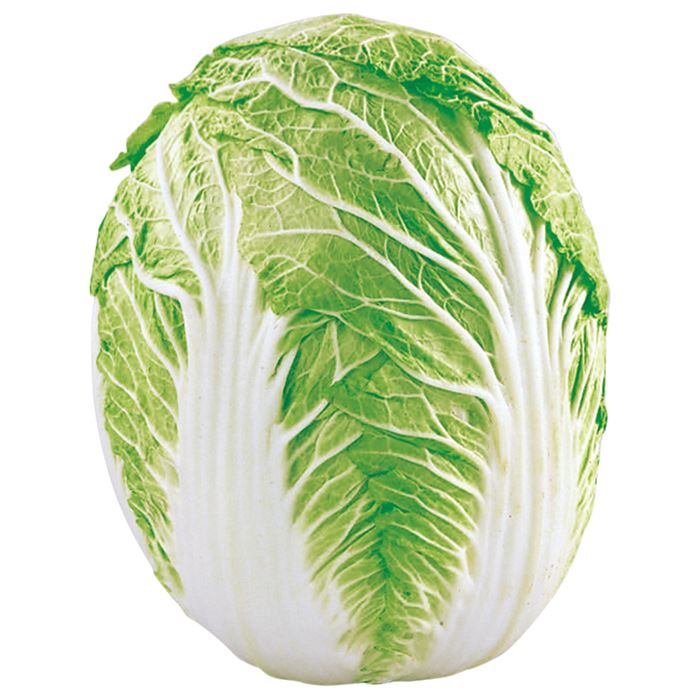 배추, ( 영어; napa cabbage, 중국어; 白菜, 학명 : Brassica rapavar. glabra 'Pe-tsai ...