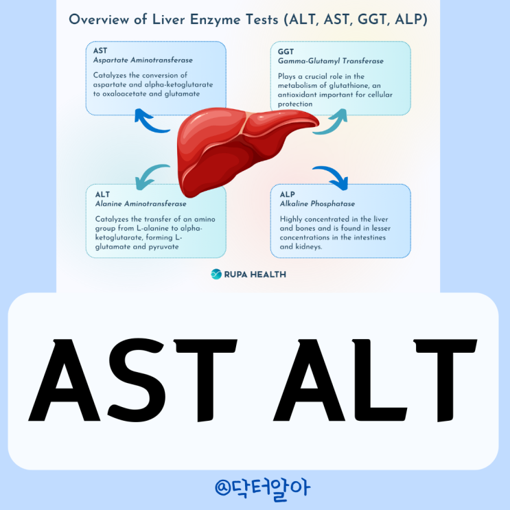 간수치 간장질환 AST ALT 수치 정상 높으면 낮으면 관리 : 네이버 블로그