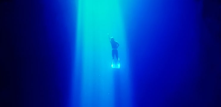 한인위령탑.팔라우의 롱비치, Grotto, 사이판. 산호가루 팩, 해파리,만....