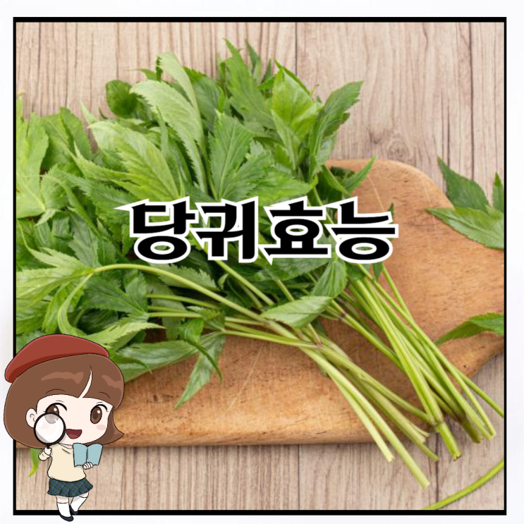 당귀효능, 단순한 한약재가 아니에요~ : 네이버 블로그