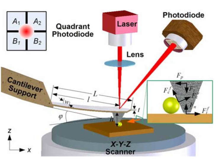 ['25.Winter/Nanoscale Characterization] ① Scanning Probe Microscopy ...