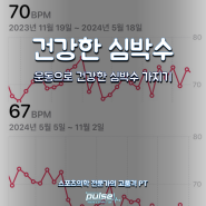 운동과 건강습관으로 건강한 심박수 되찾기 천호PT