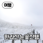 【여행】 눈 오는 날, 제주도 한라산 눈꽃산행