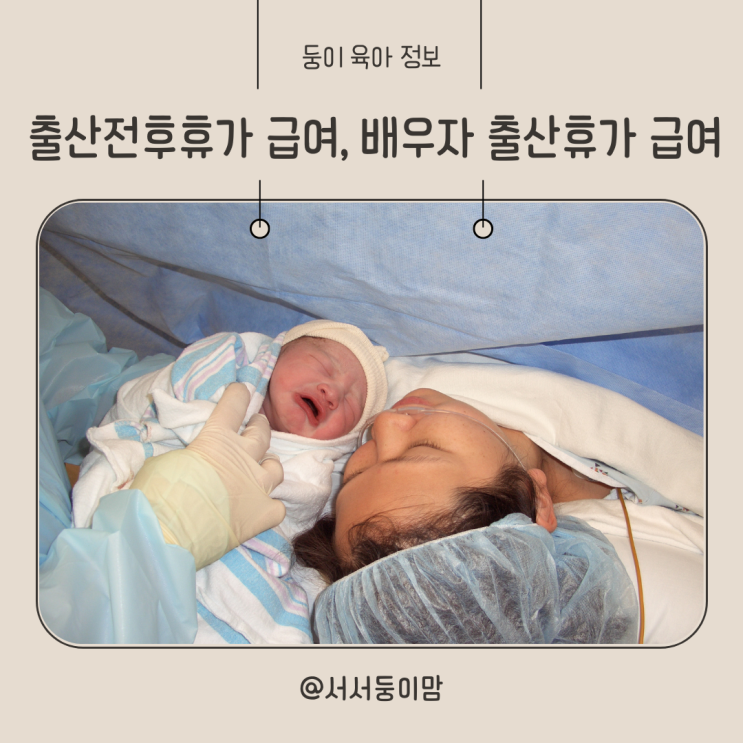 출산휴가 급여 지원금액 신청방법 배우자의 출산휴가 기간 급여는 : 네이버 블로그