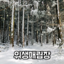 【여행】 한라산 돌오름길 구간을 지나 위생매립장을 가다