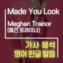 Made You Look-Meghan Trainor (메건트레이너) [가사해석/번역/발음]