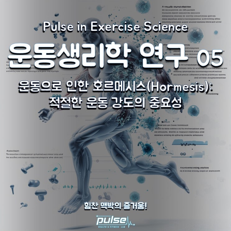 운동으로 인한 호르메시스: 적절한 운동 강도의 중요성_ Pulse in Exercise Science 운동생리학 연구 05 ...